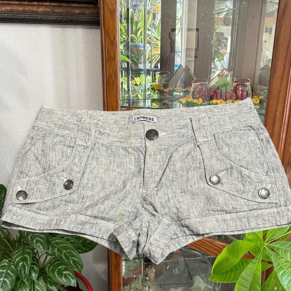 Y2k express low rise mini